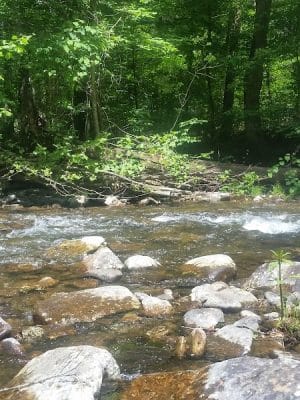 Riven Rock Park