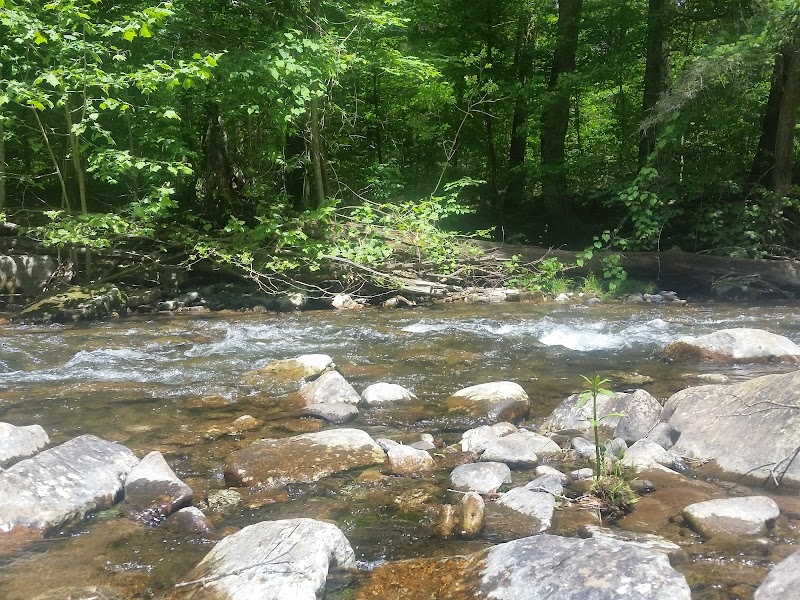 Riven Rock Park - Hinton, VA