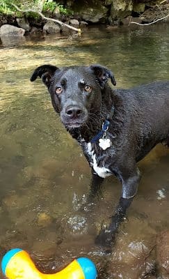 Riven Rock Park