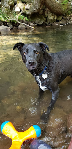 Riven Rock Park