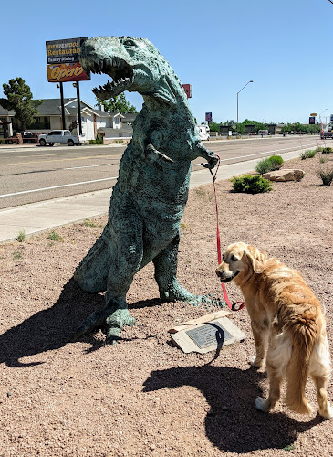 Holbrook Dog Park - Holbrook, AZ