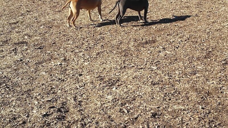 Large Dog Park at Park Township Park - Holland, MI