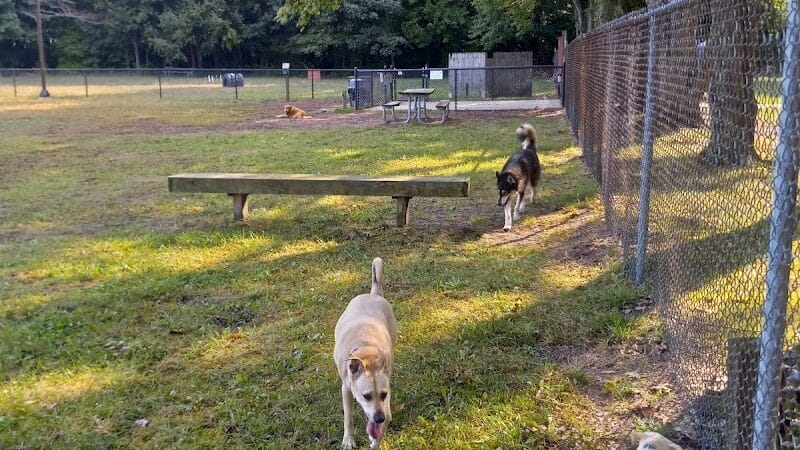 Large Dog Park at Park Township Park - Holland, MI