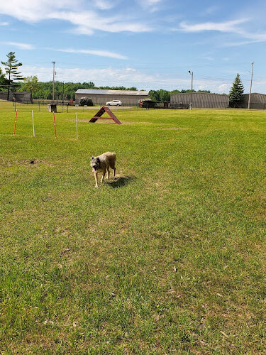 Large Dog Park at Park Township Park