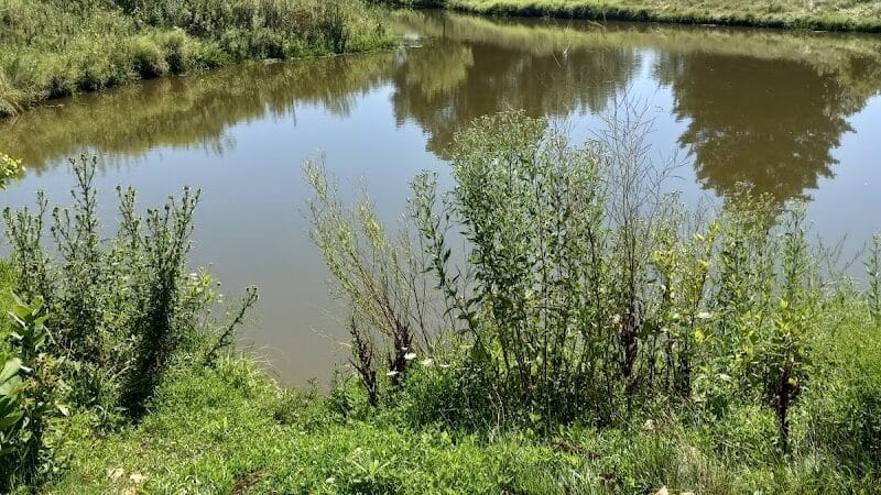 Paw Paw Park (East) - Holland,