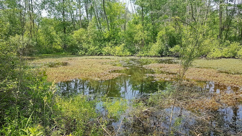 Paw Paw Park (West) - Holland,