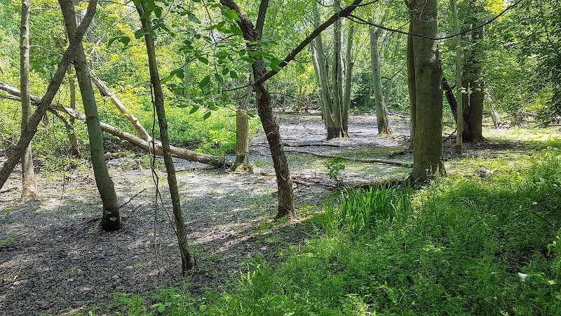 Paw Paw Park (West) - Holland,