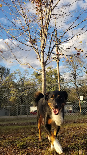 Pepper Dog Park - Hollister, MO