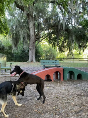 Riviera Oaks Dog Park