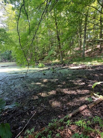 Holly Recreation Area - Holly,