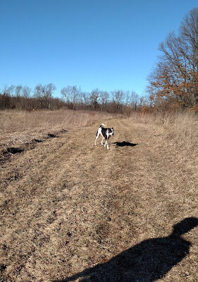 Highland Oaks County Park