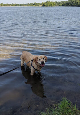 Seven Lakes State Park
