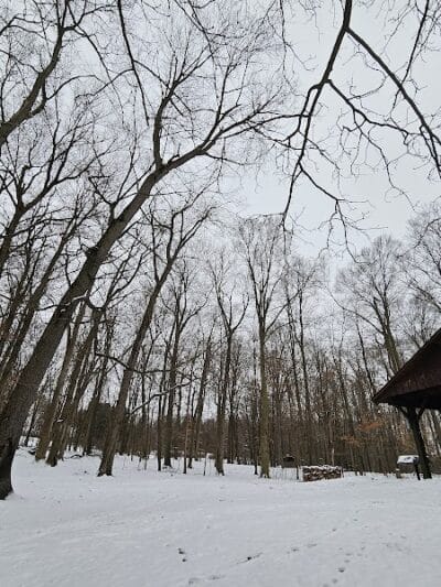 Burchfield Park - Holt,