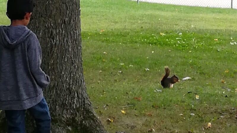 Kiwanis Park - Holt,