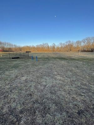 Kearney Bark - Dog Park