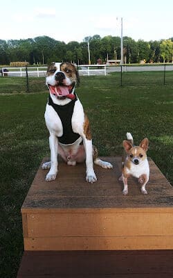 Dogwood Park