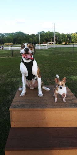 Dogwood Park