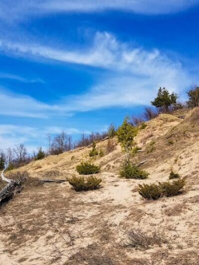 Empire Bluff Trail - Honor,