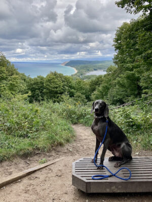 Empire Bluff Scenic Lookout