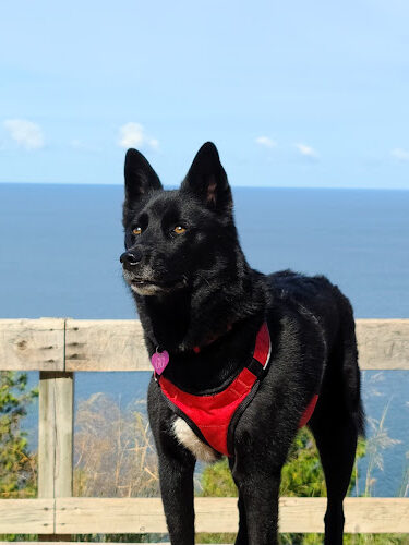 Empire Bluff Trail