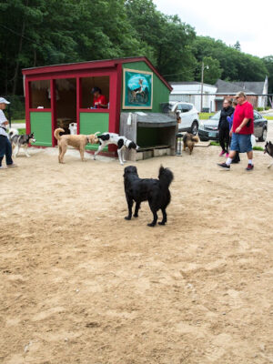 Hooksett Dog Park