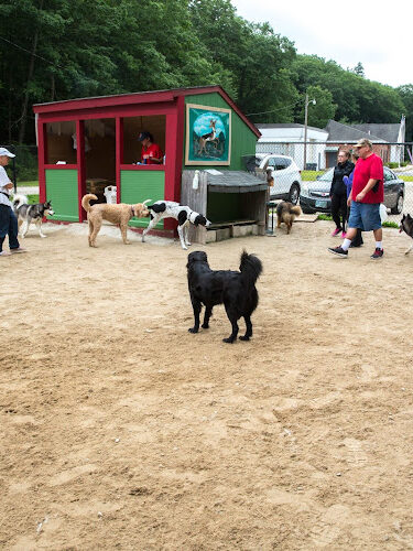 Hooksett Dog Park