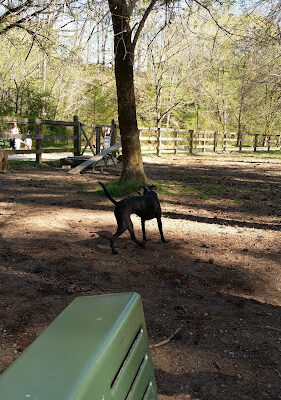 Hoover Dog Park