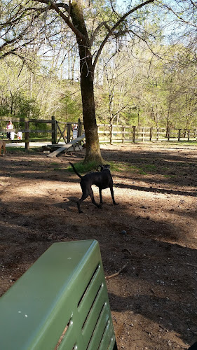 Hoover Dog Park