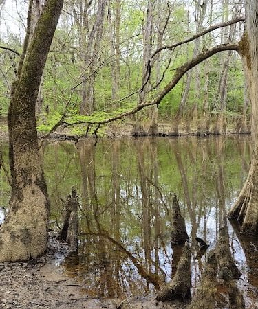 Boardwalk Loop Trail