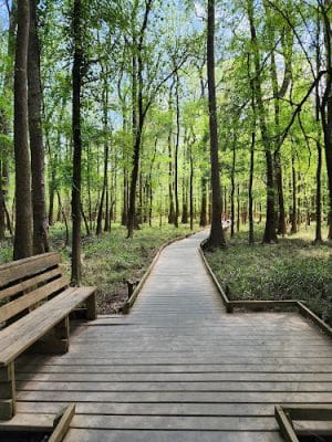Boardwalk Loop Trail