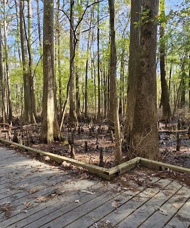 Boardwalk Loop Trail