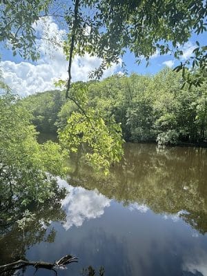 Boardwalk Loop Trail