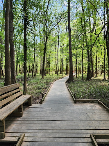 Boardwalk Loop Trail