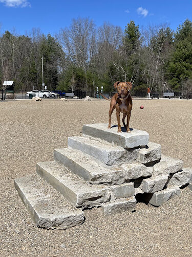 Hopkinton dog park