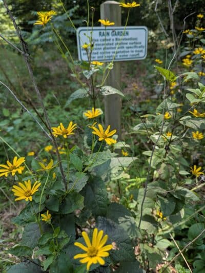 Horsham Dog Park - Horsham, PA