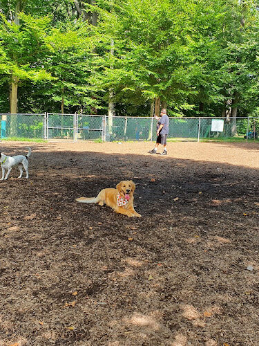 Horsham Dog Park