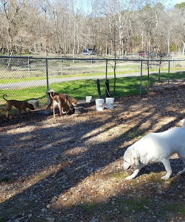 Hot Springs Bark Park - Hot Springs, AR