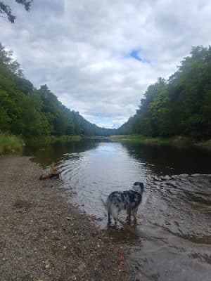 Houlton Riverfront Park