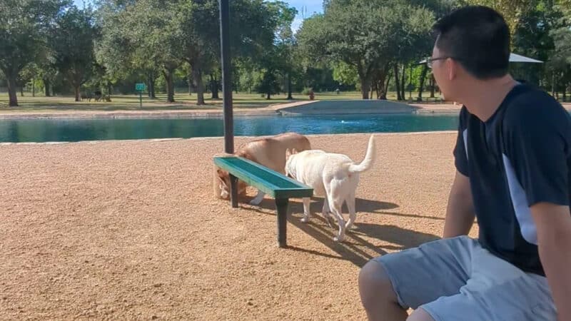 Congressman Bill Archer Dog Park - Houston, TX