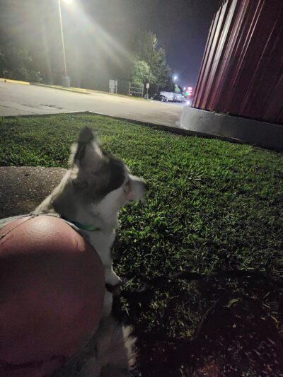 Maxey Park - Houston, TX