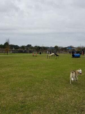 Bay Area Park Dog Park