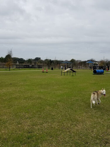 Bay Area Park Dog Park