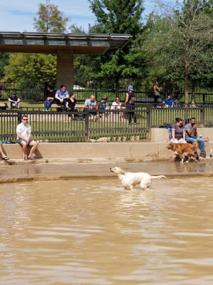 Johnny Steele Dog Park