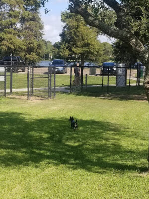 Lake Nassau Park: Dog Park