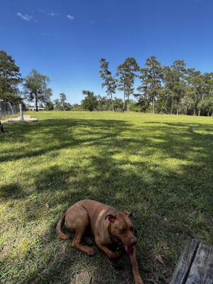 Maxey Park