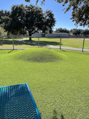 Sneed Dog Park