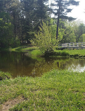 Artman Park