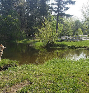 Artman Park