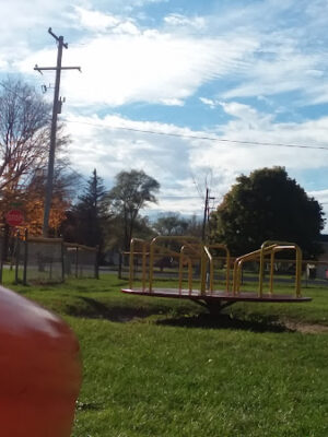 Herbert J Peck Park