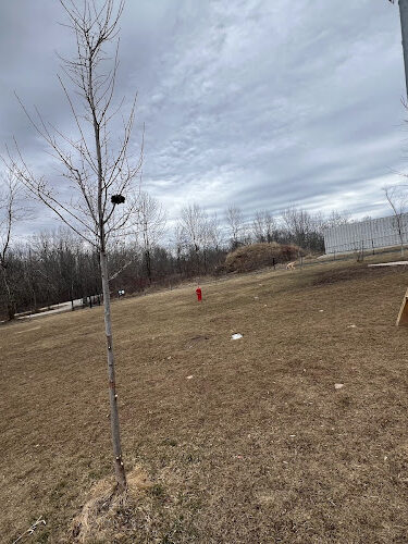 Howard Dog Park #2